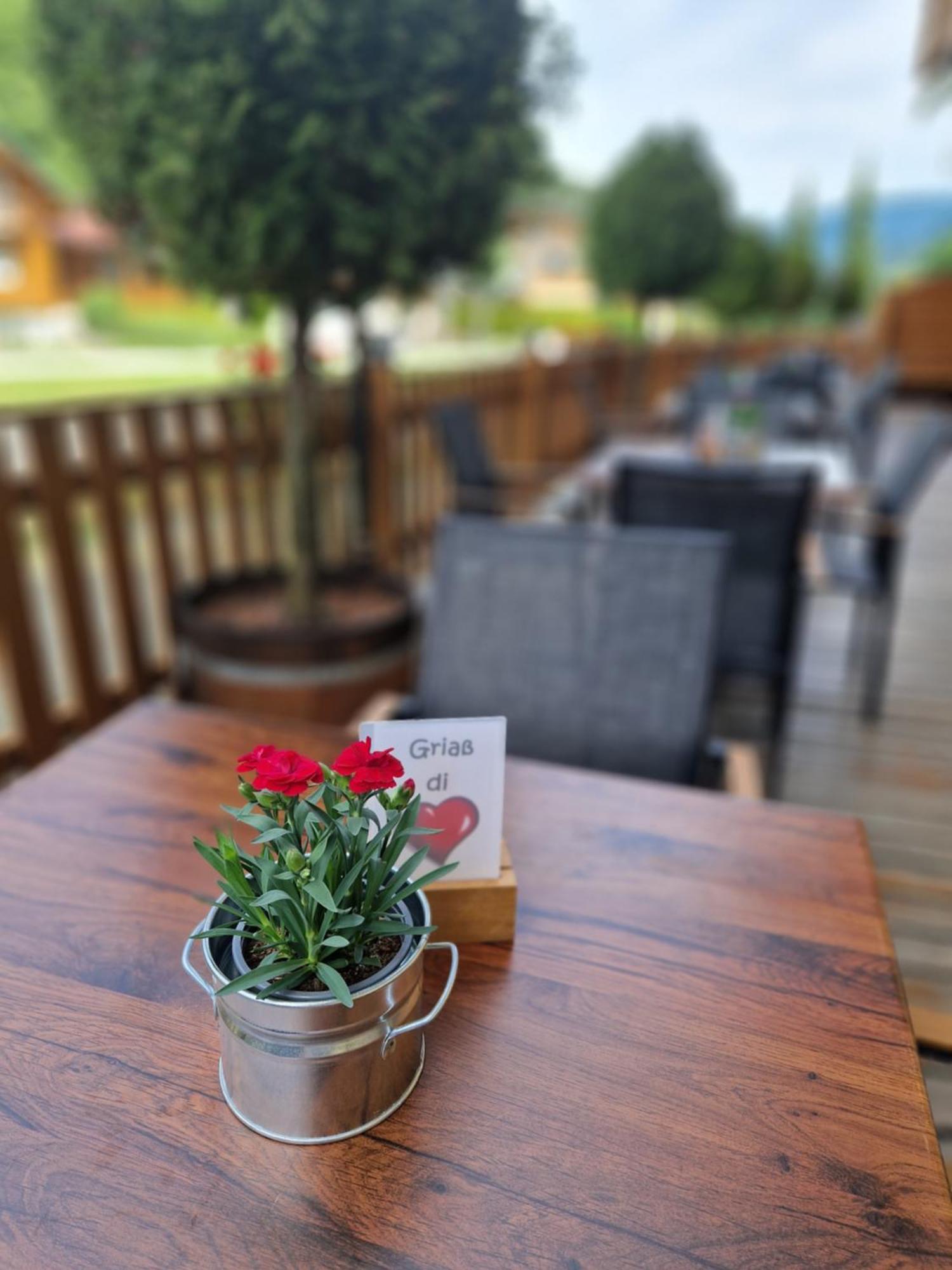 Sporthotel Dachstein West Аннаберг-им-Ламмерталь Экстерьер фото